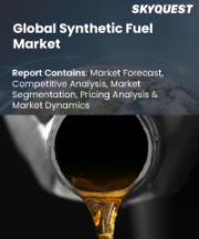 Synthetic Fuel Market Size, Share, and Growth Analysis, By Feedstock (Natural Gas, Methanol), By Process, By Fuel Type, By Market Maturity, By Environmental Impact, By Application, By End Use, By Region - Industry Forecast 2026-2033