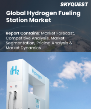 Hydrogen Fueling Station Market Size, Share, and Growth Analysis, By Station Size (Small Stations, Mid-sized Stations), By Supply Type (Off-site, On-site), By Pressure, By Type, By Solution, By Region - Industry Forecast 2026-2033