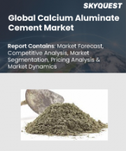 Calcium Aluminate Cement Market Size, Share, and Growth Analysis, By Type (Pre-Melting, Sintered Type), By Product Type (CAC 40, CAC 50), By Function, By End-use, By Distribution Channel, By Region - Industry Forecast 2026-2033