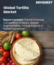 Tortilla Market Size, Share, and Growth Analysis, By Product Type (Tortilla Chips, Taco Shells), By Nature (Organic, Conventional), By Processing Type, By Source, By Distribution Channel, By Region - Industry Forecast 2026-2033