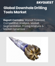 Downhole Drilling Tools Market Size, Share, and Growth Analysis, By Location of Deployment (Onshore, Offshore), By Component, By Tool Type, By Application, By Operation Type, By End Use, By Region - Industry Forecast 2026-2033