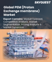 PEM (Proton Exchange Membrane) Market Size, Share, and Growth Analysis, By Type (High Temperature, Low Temperature), By Material (Membrane Electrode Assembly, Hardware), By Application, By Region - Industry Forecast 2026-2033