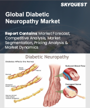 Diabetic Neuropathy Market Size, Share, and Growth Analysis, By Disorder Type (Peripheral Neuropathy, Autonomic Neuropathy), By Drug Class (Capsaicin, Opioid), By Distribution Channel, By Region - Industry Forecast 2026-2033