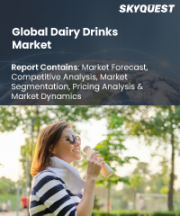 Dairy Drinks Market Size, Share, and Growth Analysis, By Product (Animal-Based Milk, Plant-Based Milk), By Type (Drinking Yogurt, Milk), By Flavor, By Nature, By Distribution Channel, By Region - Industry Forecast 2026-2033