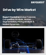 Drive by Wire Market Size, Share, and Growth Analysis, By Application (Throttle-by-wire, Shift-by-wire), By Component, By Sensor Type, By On Highway Vehicles, By Off Highway Vehicles, By Region - Industry Forecast 2026-2033