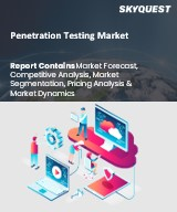 Penetration Testing Market Size, Share, and Growth Analysis, By Offering (Solutions, Services), By Organization Size (Large Enterprises, Small & Medium Enterprises), By Testing Method, By Region -Industry Forecast 2026-2033