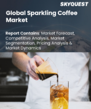 Sparkling Coffee Market Size, Share, and Growth Analysis, By Product (Caffeinated, Decaffeinated), By Packaging (Cans, Bottles), By Age Group, By Price Range, By Distribution Channel, By Region - Industry Forecast 2026-2033