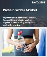 Protein Water Market Size, Share, and Growth Analysis, By Product Type (Whey Protein Water, Casein Protein Water), By Source, By Packaging Type, By Distribution Channel, By End User, By Region - Industry Forecast 2026-2033