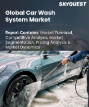 Car Wash System Market Size, Share, and Growth Analysis, By Type (Tunnels, Roll-Over/In-Bay), By Process, By Vehicle Type, By Location, By Mode of Payment, By Distribution Channel, By Region - Industry Forecast 2026-2033