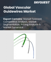 Vascular Guidewires Market Size, Share, and Growth Analysis, By Product (Peripheral Guidewires, Coronary Guidewires), By Coating (Coated, Non-coated), By Raw Material, By End User, By Region - Industry Forecast 2026-2033