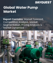 Water Pump Market Size, Share, and Growth Analysis, By Type (Centrifugal Pumps, Positive Displacement Pumps), By Business (Pumps, Aftermarket), By Distribution Channel, By End Use, By Region - Industry Forecast 2026-2033