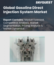 Gasoline Direct Injection System Market Size, Share, and Growth Analysis, By Stroke (2-Stroke, 4-Stroke), By Engine Type (2-Cylinder, 4-Cylinder), By Components, By Vehicle Type, By Region - Industry Forecast 2026-2033