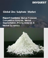 Zinc Sulphate Market Size, Share, and Growth Analysis, By Type (Zinc Sulfate Anhydrous, Zinc Sulfate Hexahydrate), By Application (Drugs and Medicine, Agrochemical), By End User, By Region - Industry Forecast 2026-2033