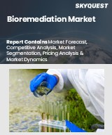 Bioremediation Market Size, Share, and Growth Analysis, By Type (Situ Bioremediation, And Ex Situ Bioremediation), By Technology (Biostimulation, Phytoremediation), By Service, By Region - Industry Forecast 2026-2033