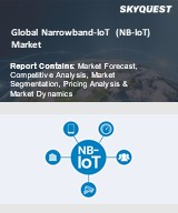 Narrowband-IoT (NB-IoT) Market Size, Share, and Growth Analysis, By Component (Network, Module), By Device Type (Alarm and Detector, Smart Parking), By Deployment, By Vertical, By Region - Industry Forecast 2026-2033