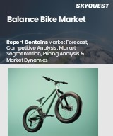 Balance Bike Market Size, Share, and Growth Analysis, By Product Type (Metal Bikes, Wooden Bikes), By Age Group (2-3 Years, 3-5 Years), By Wheel Size, By Distribution Channel, By Region - Industry Forecast 2026-2033