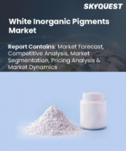 White Inorganic Pigment Market Size, Share, and Growth Analysis, By Type (Titanium Dioxide, Zinc Oxide), By Application (Paints & Coatings, Plastics), By End-User Industry, By Region - Industry Forecast 2026-2033
