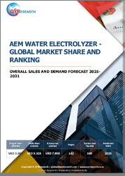 AEM Water Electrolyzer - Global Market Share and Ranking, Overall Sales and Demand Forecast 2025-2031