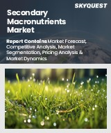 Secondary Macronutrients Market Size, Share, and Growth Analysis, By Nutrient (Calcium, Sulfur), By Crop type (Cereals & grains, Oilseeds & pulses), By Application, By Form, By Region - Industry Forecast 2026-2033