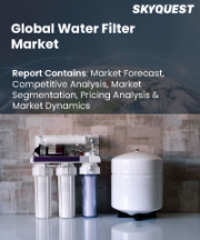 Water Filter Market Size, Share, and Growth Analysis, By Product Type (Point-Of-Use Filters, Point-Of-Entry Filters), By Category (RO Filters, UV Filters), By Application, By Region - Industry Forecast 2026-2033
