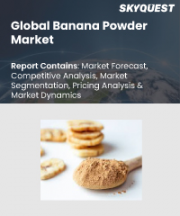 Banana Powder Market Size, Share, and Growth Analysis, By Process (Freeze Dried, Spray Dried), By Source (Organic, Conventional), By Application, By Distribution Channel, By Region - Industry Forecast 2026-2033