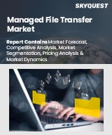 Managed File Transfer Market Size, Share, and Growth Analysis, By Component (Solution, Support & Maintenance), By Deployment Model, By Organization Size, By Application, By Region - Industry Forecast 2026-2033
