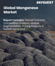 Manganese Market Size, Share, and Growth Analysis, By Type (High Carbon Ferromanganese, Medium Carbon Ferromanganese), By Ore Grade, By Form, By Application, By End-Use, By Region - Industry Forecast 2026-2033