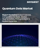Quantum Dots Market Size, Share, and Growth Analysis, By Display (Display Technology, Display Panel Type), By Material, By Product, By Production Technique, By Vertical, By Region - Industry Forecast 2026-2033