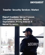 Traveler Security Services Market Size, Share, and Growth Analysis, By Service Type (Risk Assessment and Consulting, Crisis Management), By Enterprise Size, By End User, By Region - Industry Forecast 2026-2033