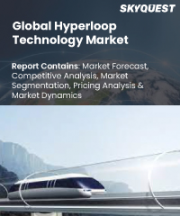 Hyperloop Technology Market Size, Share, and Growth Analysis, By Transportation System (Capsule, Guideway), By Carriage Type (Passenger, Cargo/Freight), By Speed, By Region - Industry Forecast 2026-2033