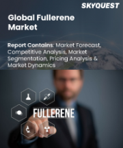 Fullerene Market Size, Share, and Growth Analysis, By Product (C60, C70), By Shape (Bucky Balls, Nanotubes), By Production Method, By End Use Industry, By Region - Industry Forecast 2026-2033