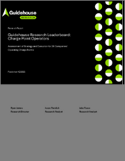 Guidehouse Research Leaderboard Report: Charge Point Operators - Assessment of Strategy and Execution for 20 Companies Operating Charge Points