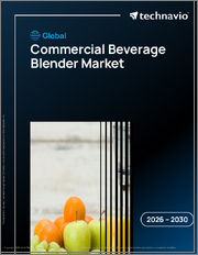Global Commercial Beverage Blender Market 2026-2030