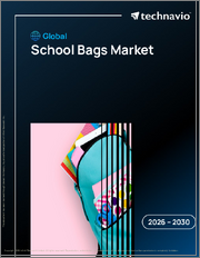 Global School Bags Market 2026-2030