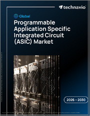 Global Programmable Application Specific Integrated Circuit (Asic) Market 2026-2030