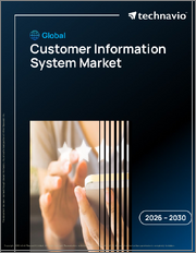 Global Customer Information System Market 2026-2030