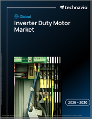 Global Inverter Duty Motor Market 2026-2030