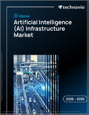 Global Artificial Intelligence (AI) Infrastructure Market 2026-2030
