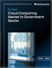Global Cloud Computing Market In Government Sector 2026-2030