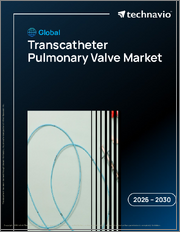 Global Transcatheter Pulmonary Valve Market 2026-2030