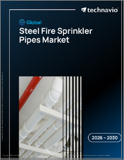 Global Steel Fire Sprinkler Pipes Market 2026-2030