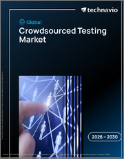 Global Crowdsourced Testing Market 2026-2030