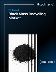Global Black Mass Recycling Market 2026-2030