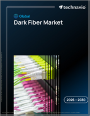 Global Dark Fiber Market 2026-2030