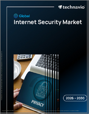 Global Internet Security Market 2026-2030