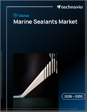 Global Marine Sealants Market 2026-2030