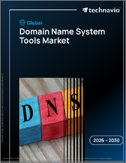 Global Domain Name System Tools Market 2026-2030
