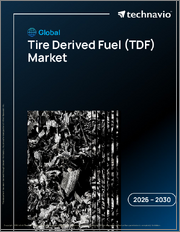 Global Tire Derived Fuel (TDF) Market 2026-2030