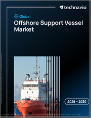 Global Offshore Support Vessel Market 2026-2030