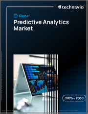 Global Predictive Analytics Market 2026-2030